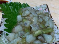 芥末章鱼-东京屋(武定路店)