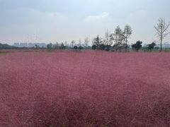 -汉长安城未央宫国家考古遗址公园