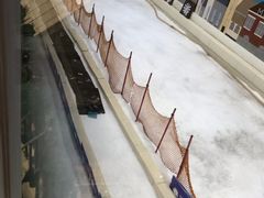 -Mr·Kuma酷么先生雪之乐园