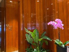 -索菲特酒店·乐轩华中餐厅