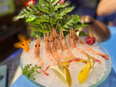 -千岛蚝高压锅生蚝·人参火锅(白云万达店)