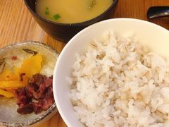 -胜博殿霸王树(嘉里中心店)