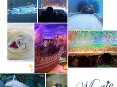 -华夏文旅海洋公园