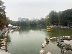 -莲湖公园