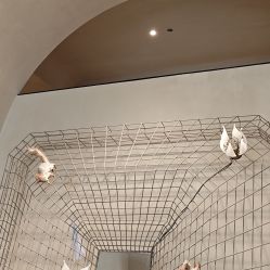 -KINI绮丽·美学肌SPA进口仪器专业店
