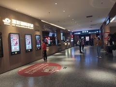 -深影国际影城(学院南路店CGS中国巨幕店)