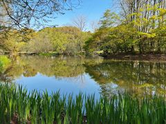 -上海共青森林公园