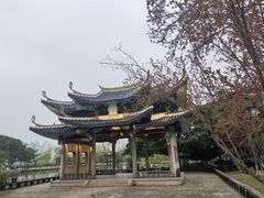 -江心屿景区