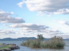 -东钱湖旅游度假区