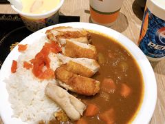 咖喱鸡排饭-吉野家(群力王府井店)
