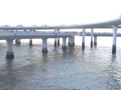 -演武大桥观景平台