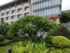 -南宁荔园维景国际酒店·荔园中餐厅