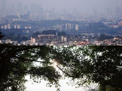 -火炉山森林公园