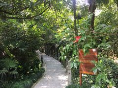 -十八棵（老龙井）御茶园(老龙井店)