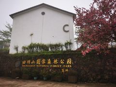 -四明山国家森林公园