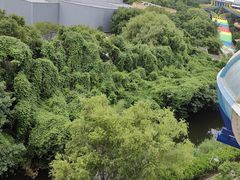 -上海玛雅海滩水公园