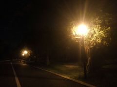 -南宁南湖公园