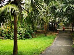 -北海市海滨公园