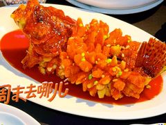 -RIVIERA 松鹤楼(外滩店)