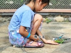 游乐设施-南宫五洲植物乐园