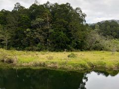 -海南热带雨林国家公园吊罗山景区