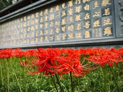 -西安大兴善寺