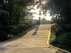 -广东惠东海龟国家级自然保护区