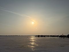 -哈素海
