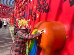 -北京凤凰岭