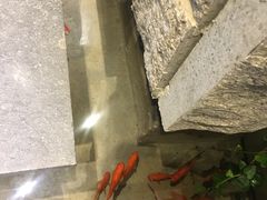 -小隐足道·按摩·主题SPA馆(西红门店)