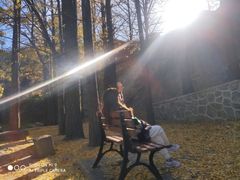 -阳台山自然风景区