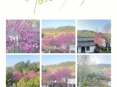 -明月山天沐温泉度假村