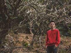-广州市流溪河国家森林公园