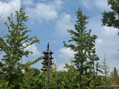 -龙华寺