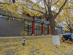 -四川大学(华西校区)