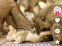 -昆明动物园