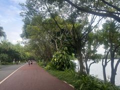 -南宁南湖公园