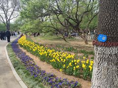 -石家庄市植物园