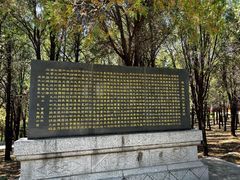 -原山国家森林公园