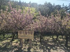-金龙寺国家森林公园