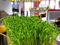 -渝味晓宇火锅(合川路店)