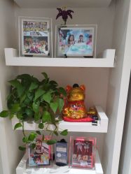 -反弹蹦床公园·亲子乐园·团建·派对(青岛融创茂店)