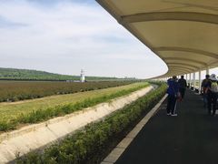 -南京枫彩漫城