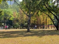 -晓港公园