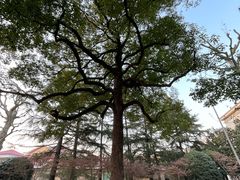 -上海虹桥迎宾馆