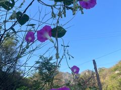 -百里峡七彩艺术小镇