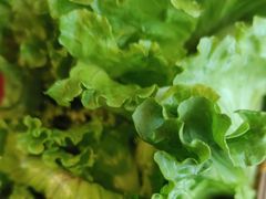 -老员外骨汤火锅(海州古城店)