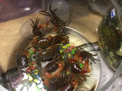 -万商花鸟市场