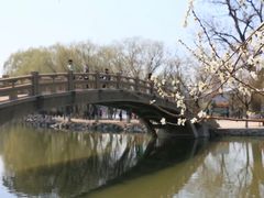 -二一九公园