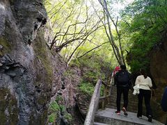 -牛背梁国家森林公园